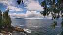 ./images/koeye/fitz-hugh/20260605/fitz-hugh20260605_133501M.jpg