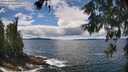 ./images/koeye/fitz-hugh/20260605/fitz-hugh20260605_134002M.jpg