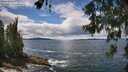 ./images/koeye/fitz-hugh/20260605/fitz-hugh20260605_134501M.jpg