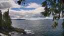 ./images/koeye/fitz-hugh/20260605/fitz-hugh20260605_135001M.jpg