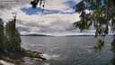 ./images/koeye/fitz-hugh/20260605/fitz-hugh20260605_135501M.jpg