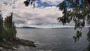 ./images/koeye/fitz-hugh/20260605/fitz-hugh20260605_140001M.jpg