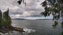 ./images/koeye/fitz-hugh/20260605/fitz-hugh20260605_141002M.jpg
