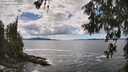 ./images/koeye/fitz-hugh/20260605/fitz-hugh20260605_144501M.jpg