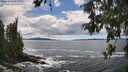 ./images/koeye/fitz-hugh/20260605/fitz-hugh20260605_145501M.jpg