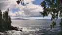 ./images/koeye/fitz-hugh/20260605/fitz-hugh20260605_150501M.jpg