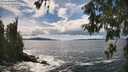 ./images/koeye/fitz-hugh/20260605/fitz-hugh20260605_153002M.jpg