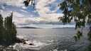 ./images/koeye/fitz-hugh/20260605/fitz-hugh20260605_153501M.jpg