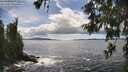 ./images/koeye/fitz-hugh/20260605/fitz-hugh20260605_154501M.jpg