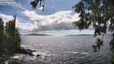 ./images/koeye/fitz-hugh/20260605/fitz-hugh20260605_155501M.jpg
