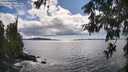 ./images/koeye/fitz-hugh/20260605/fitz-hugh20260605_162001M.jpg