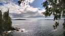 ./images/koeye/fitz-hugh/20260605/fitz-hugh20260605_162501M.jpg