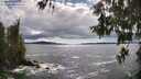 ./images/koeye/fitz-hugh/20260605/fitz-hugh20260605_164001M.jpg