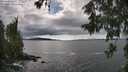 ./images/koeye/fitz-hugh/20260605/fitz-hugh20260605_165501M.jpg