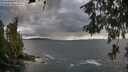 ./images/koeye/fitz-hugh/20260605/fitz-hugh20260605_173001M.jpg