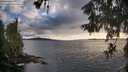 ./images/koeye/fitz-hugh/20260605/fitz-hugh20260605_194001M.jpg