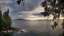./images/koeye/fitz-hugh/20260605/fitz-hugh20260605_202002M.jpg
