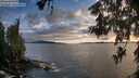 ./images/koeye/fitz-hugh/20260605/fitz-hugh20260605_203501M.jpg