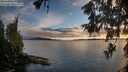 ./images/koeye/fitz-hugh/20260605/fitz-hugh20260605_205501M.jpg