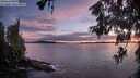 ./images/koeye/fitz-hugh/20260605/fitz-hugh20260605_215001M.jpg