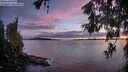 ./images/koeye/fitz-hugh/20260605/fitz-hugh20260605_215501M.jpg