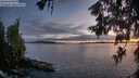 ./images/koeye/fitz-hugh/20260605/fitz-hugh20260605_221001M.jpg