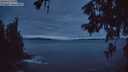 ./images/koeye/fitz-hugh/20260606/fitz-hugh20260606_042501M.jpg