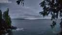 ./images/koeye/fitz-hugh/20260606/fitz-hugh20260606_044502M.jpg
