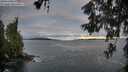 ./images/koeye/fitz-hugh/20260606/fitz-hugh20260606_054002M.jpg