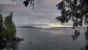 ./images/koeye/fitz-hugh/20260606/fitz-hugh20260606_054501M.jpg