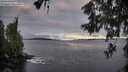 ./images/koeye/fitz-hugh/20260606/fitz-hugh20260606_055001M.jpg