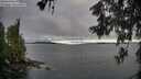 ./images/koeye/fitz-hugh/20260606/fitz-hugh20260606_063501M.jpg