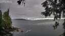 ./images/koeye/fitz-hugh/20260606/fitz-hugh20260606_064502M.jpg