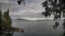 ./images/koeye/fitz-hugh/20260606/fitz-hugh20260606_072001M.jpg
