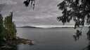 ./images/koeye/fitz-hugh/20260606/fitz-hugh20260606_072502M.jpg
