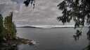 ./images/koeye/fitz-hugh/20260606/fitz-hugh20260606_073501M.jpg