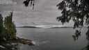 ./images/koeye/fitz-hugh/20260606/fitz-hugh20260606_075501M.jpg