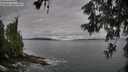 ./images/koeye/fitz-hugh/20260606/fitz-hugh20260606_080001M.jpg