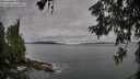 ./images/koeye/fitz-hugh/20260606/fitz-hugh20260606_080501M.jpg