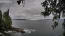 ./images/koeye/fitz-hugh/20260606/fitz-hugh20260606_081501M.jpg