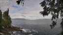 ./images/koeye/fitz-hugh/20260606/fitz-hugh20260606_084502M.jpg