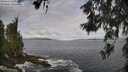 ./images/koeye/fitz-hugh/20260606/fitz-hugh20260606_085002M.jpg