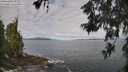 ./images/koeye/fitz-hugh/20260606/fitz-hugh20260606_091501M.jpg