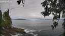 ./images/koeye/fitz-hugh/20260606/fitz-hugh20260606_094001M.jpg