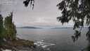 ./images/koeye/fitz-hugh/20260606/fitz-hugh20260606_095001M.jpg