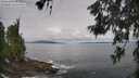 ./images/koeye/fitz-hugh/20260606/fitz-hugh20260606_095501M.jpg