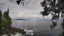 ./images/koeye/fitz-hugh/20260606/fitz-hugh20260606_100001M.jpg