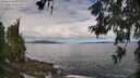 ./images/koeye/fitz-hugh/20260606/fitz-hugh20260606_103001M.jpg