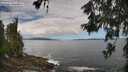 ./images/koeye/fitz-hugh/20260606/fitz-hugh20260606_104001M.jpg
