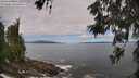 ./images/koeye/fitz-hugh/20260606/fitz-hugh20260606_105002M.jpg